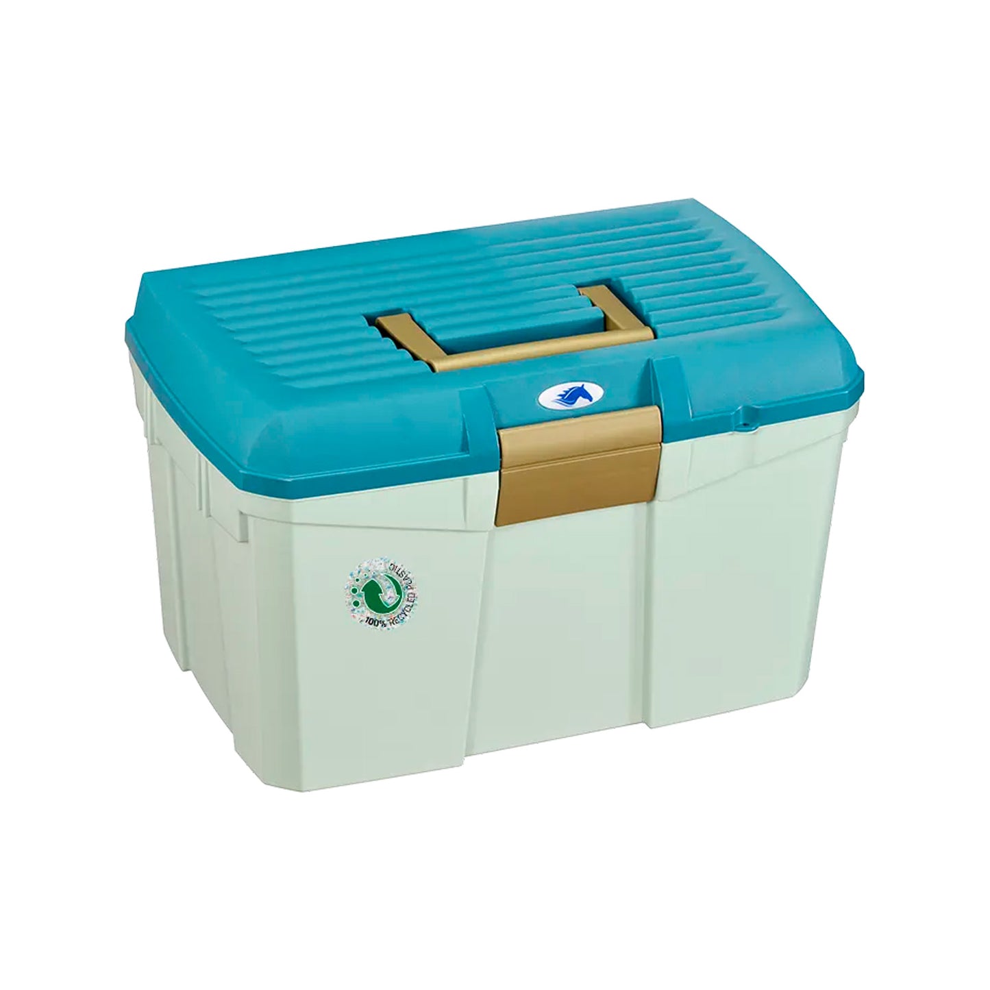 PETITE COFFRE PONEY 168