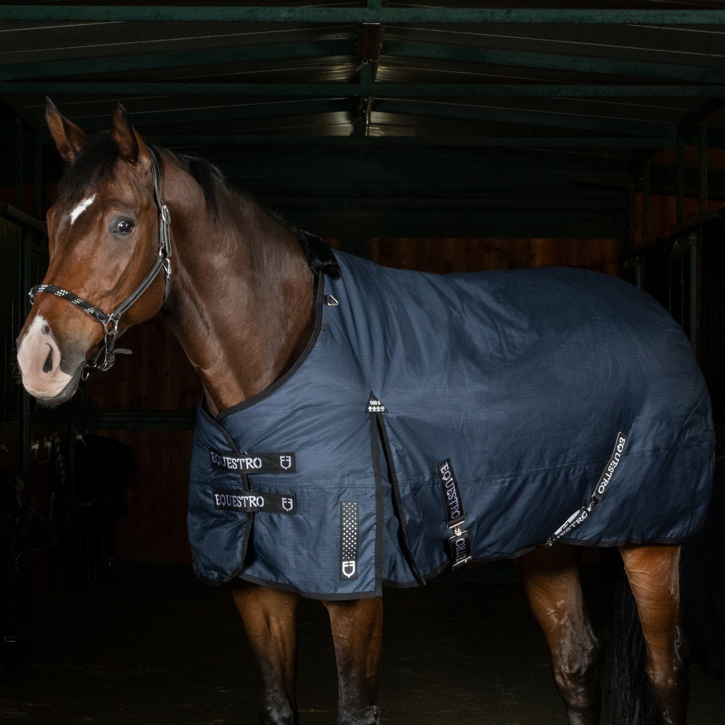 COUVERTURE DE PADDOCK ALBERTA EN TISSU ANTI-DÉCHIRURE