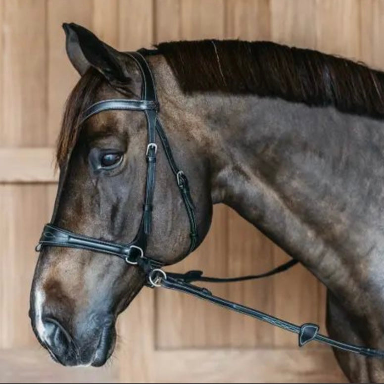 BRIDON ‘WORK MOTION’ DY’ON