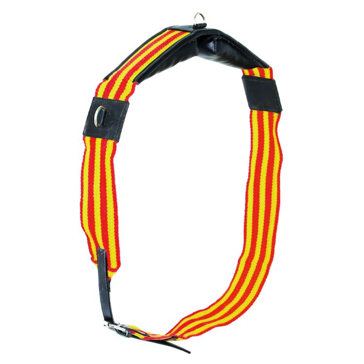 SURFAIX EN CUIR AVEC ANNEAUX CC/ROUGE/BLEU