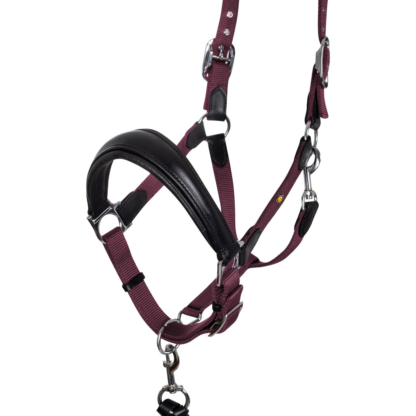 LICOL EQUESTRO ERGONOMIQUE AVEC INSERTS EN CUIR + LONGE