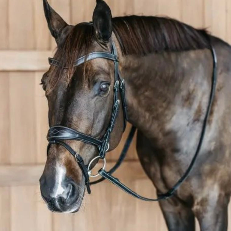 BRIDON ‘WORK MOTION’ DY’ON