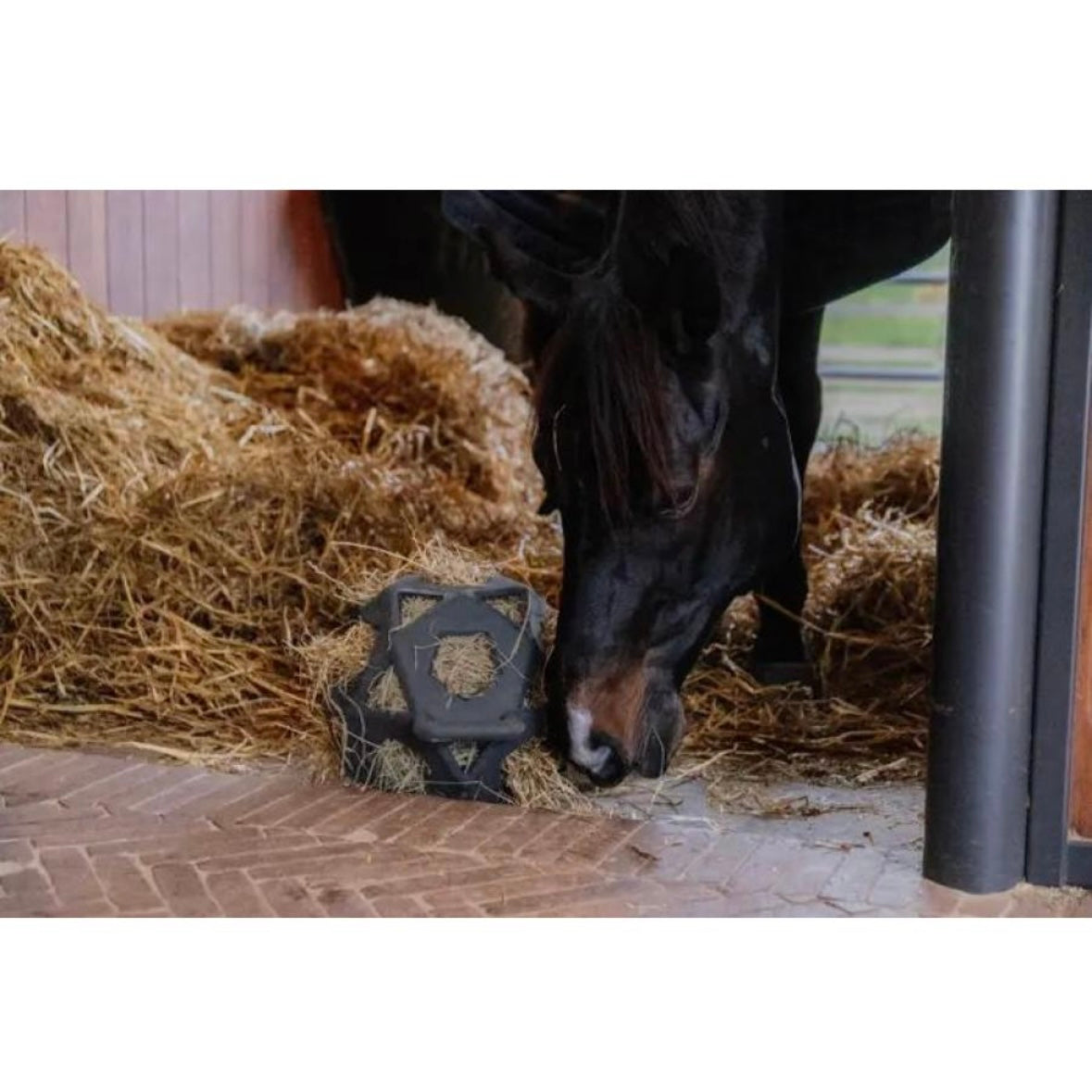 JEU BALLE CHEVAL KENTUCKY