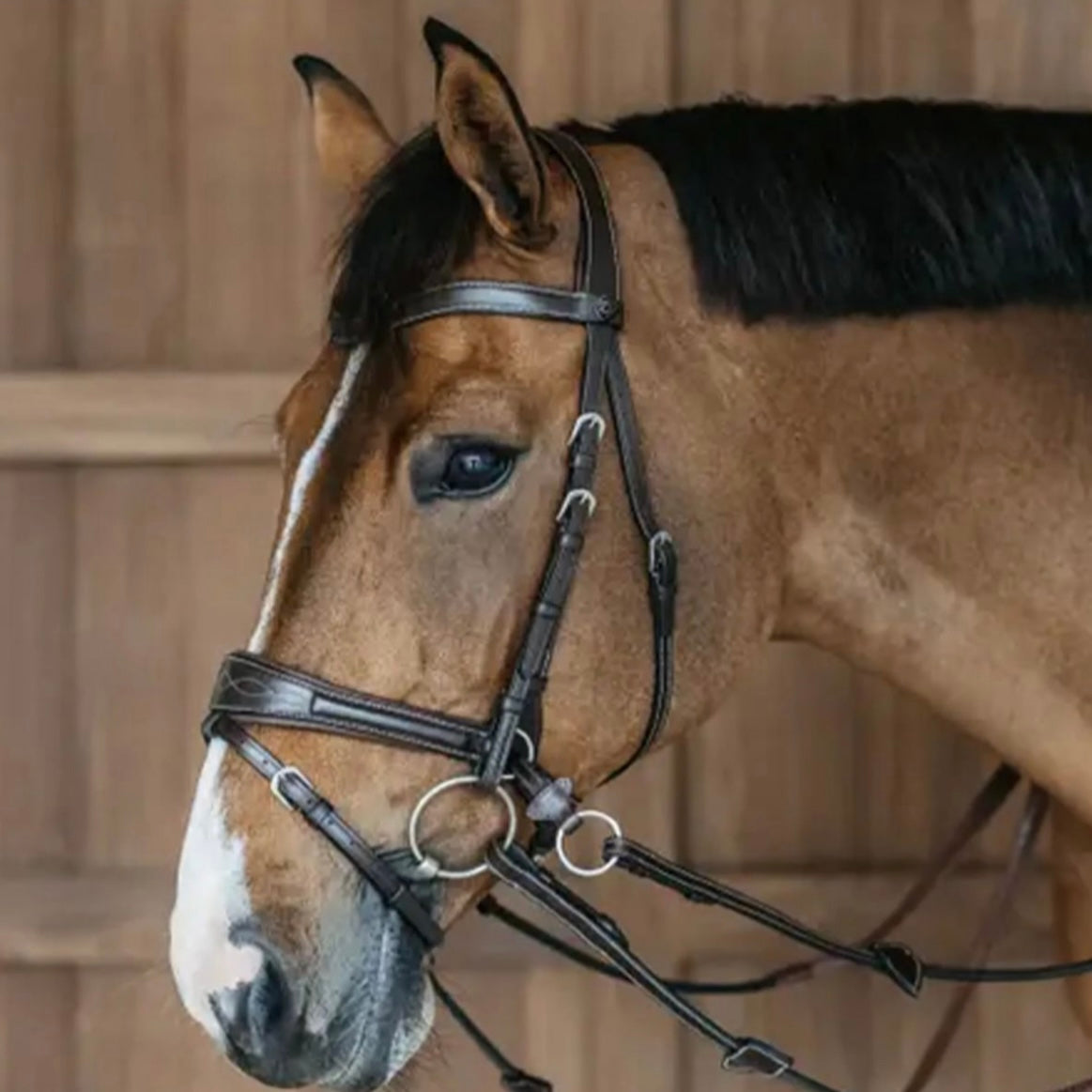 BRIDON ‘WORK MOTION’ DY’ON