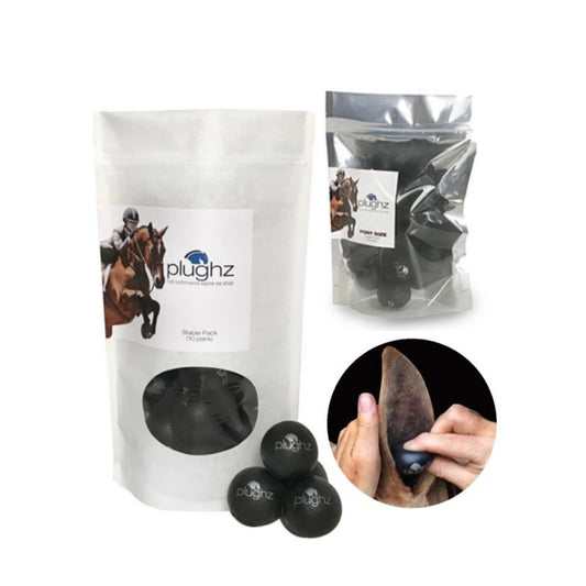 BOUCHONS INSONORISÉS PLUGHZ (20 PCS)