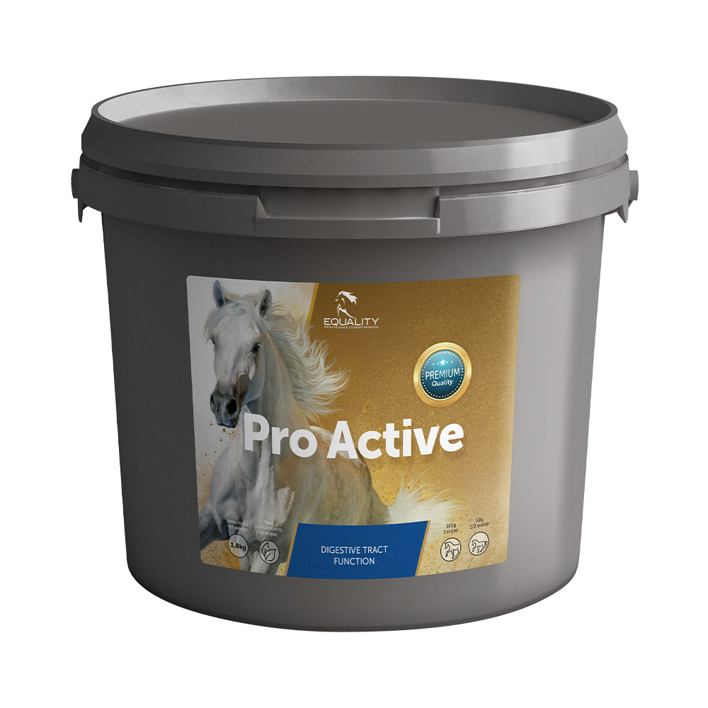 PRO ACTIVE : soutien sur la flore intestinale