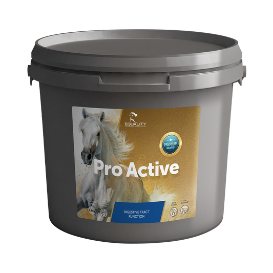 PRO ACTIVE : soutien sur la flore intestinale