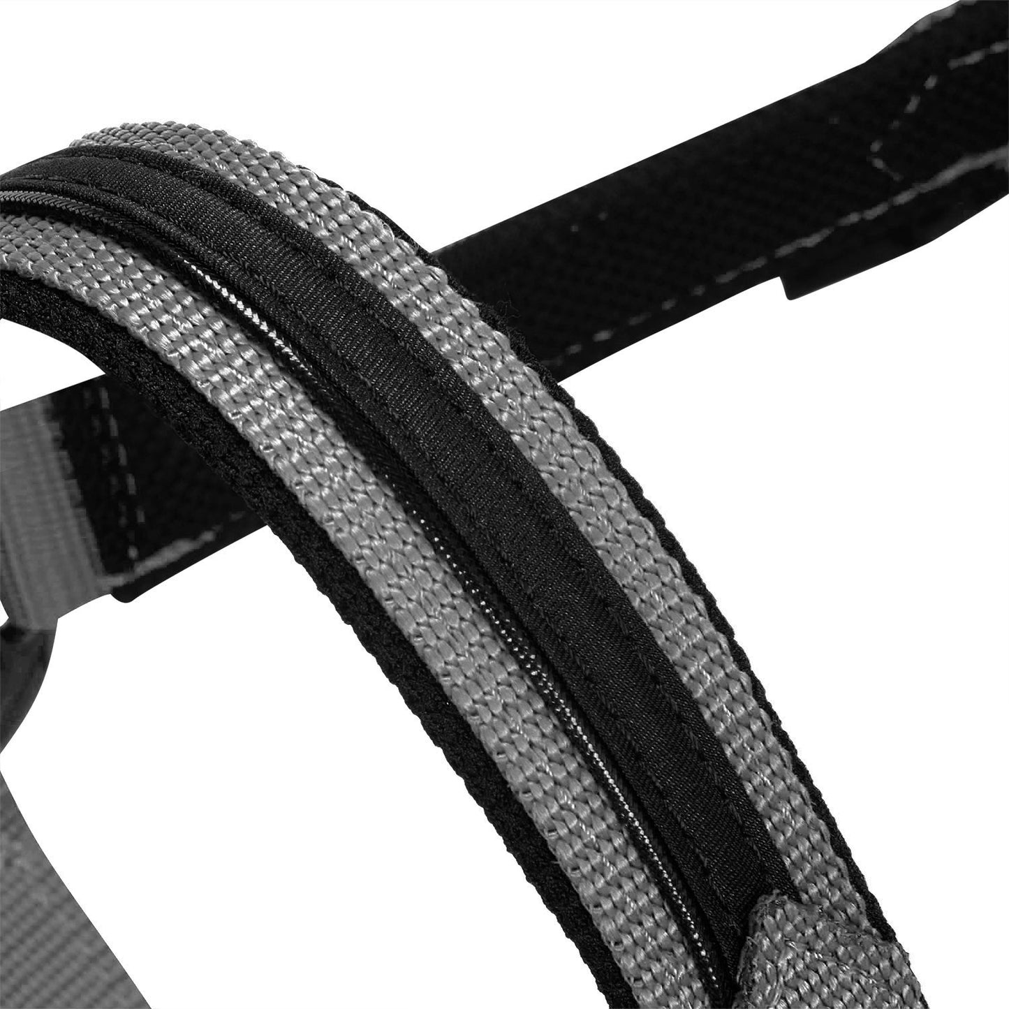 LICOL EQUESTRO MOD ÉLÉGANCE + LOUNGE