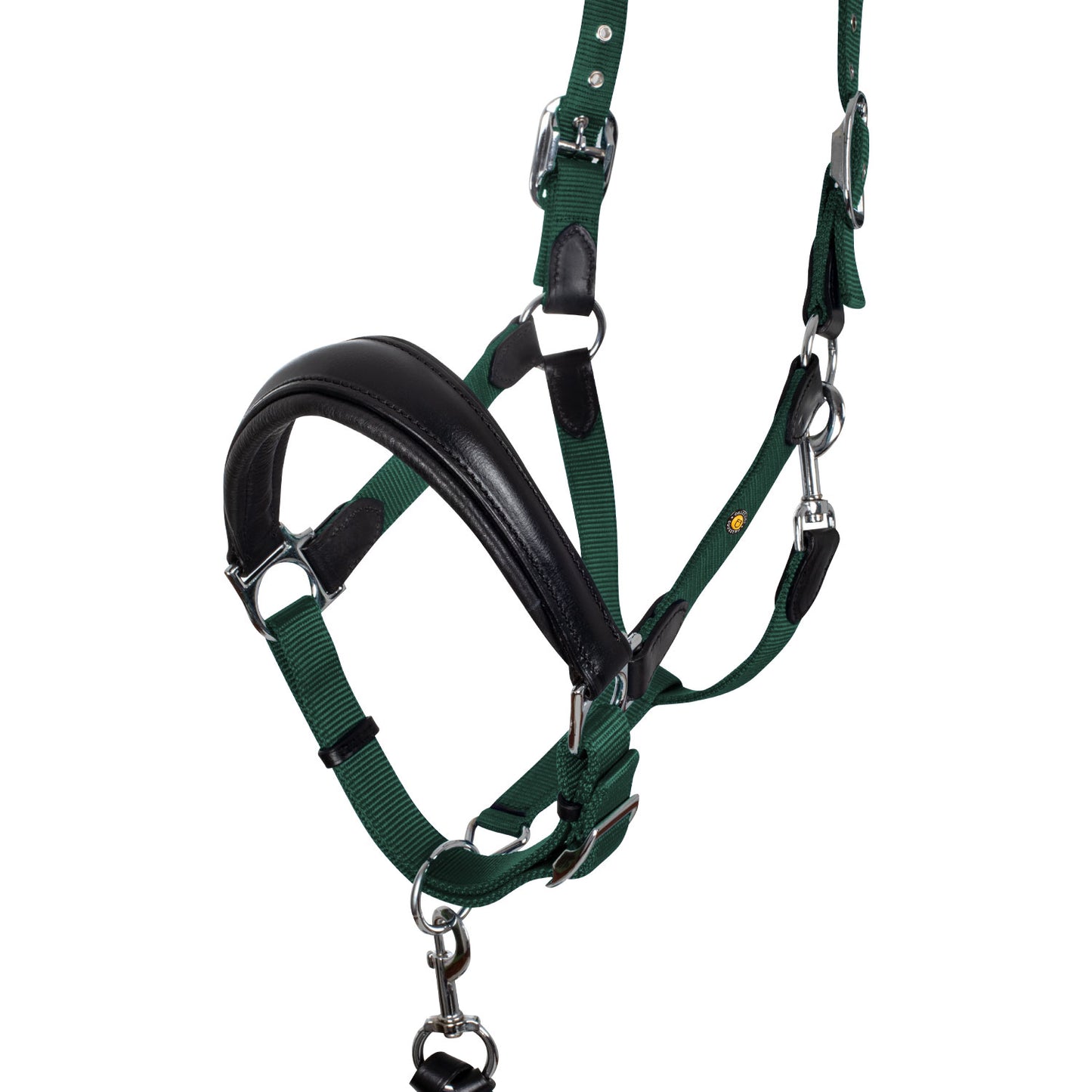 LICOL EQUESTRO ERGONOMIQUE AVEC INSERTS EN CUIR + LONGE
