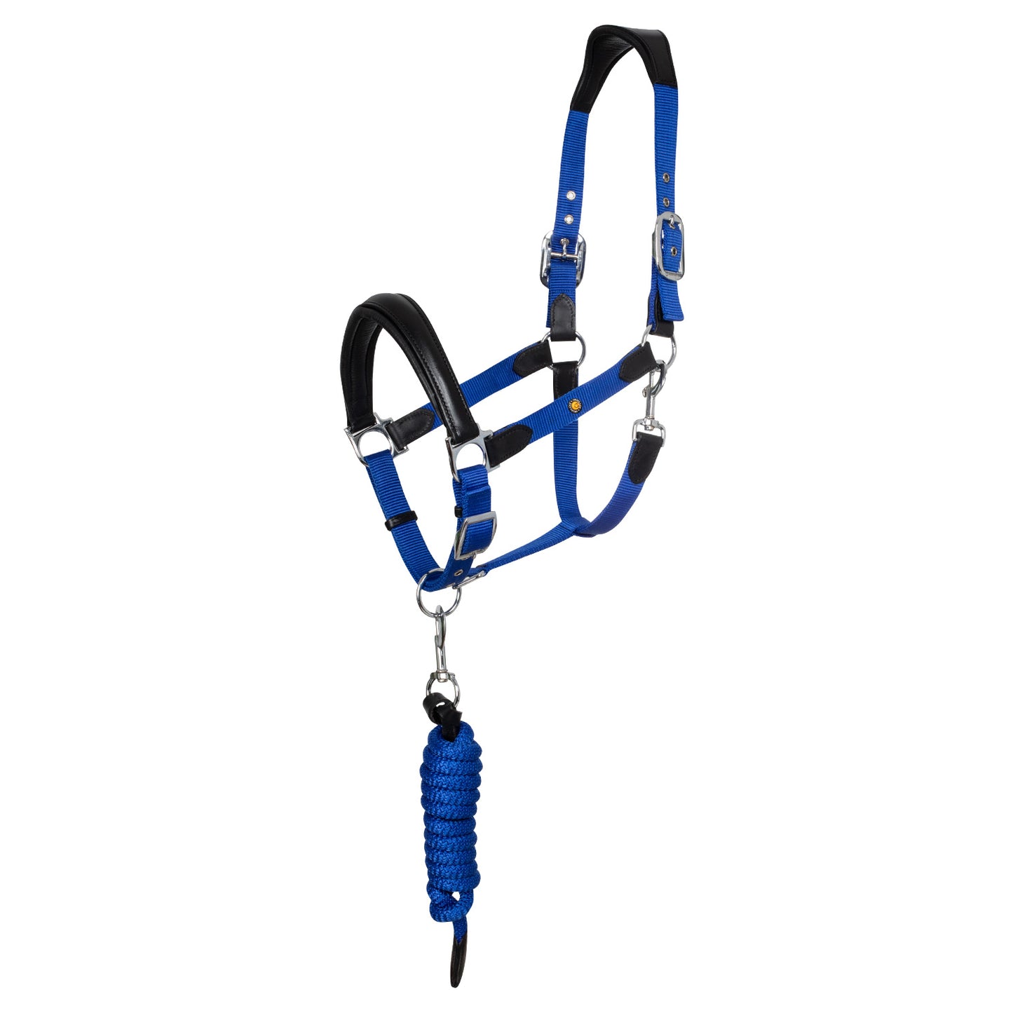 LICOL EQUESTRO ERGONOMIQUE AVEC INSERTS EN CUIR + LONGE