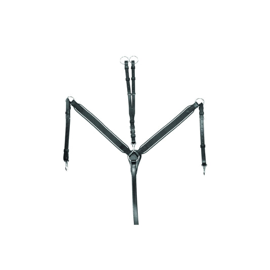 PECTORAL ÉLASTIQUE ET MARTINGALE SUPRÊME